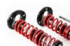 Picture of MTS Technik Coilover Set - XMTSGWBM109