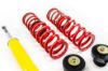 Picture of MTS Technik Coilover Set - XMTSGWBM109