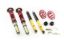 Picture of MTS Technik Coilover Set - XMTSGWBM11-C