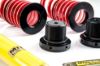 Picture of MTS Technik Coilover Set - XMTSGWBM11-S