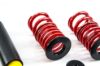 Picture of MTS Technik Coilover Set - XMTSGWBM11-S