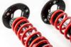 Picture of MTS Technik Coilover Set - XMTSGWBM111