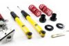 Picture of MTS Technik Coilover Set - XMTSGWBM116-S