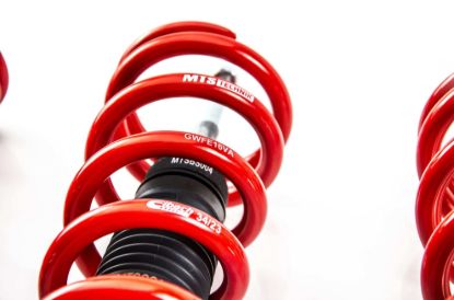 Picture of MTS Technik Coilover Set - XMTSGWBM18