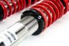 Picture of MTS Technik Coilover Set - XMTSGWBM18