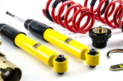 Picture of MTS Technik Coilover Set - XMTSGWBM48