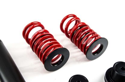 Picture of MTS Technik Coilover Set - XMTSGWBM99-S