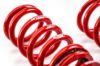 Picture of MTS Technik Coilover Set - XMTSGWVW36-S