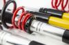 Picture of MTS Technik Coilover Set - XMTSGWVW45
