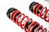 Picture of MTS Technik Coilover Set - XMTSGWVW87