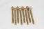 4150 Fuel Bowl Screws (8)