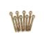 4160 Fuel Bowl Screws (8)