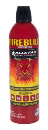 Fire Extinguisher 12.69oz Can