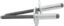 Lg Hd Rivet Silver 250pk