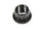 1/2-20 12pt. Nut (1)