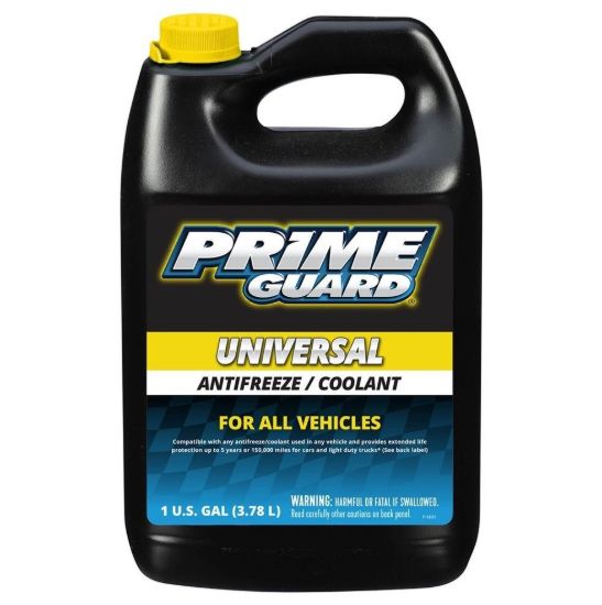 Antifreeze All Makes/ All Models Gold