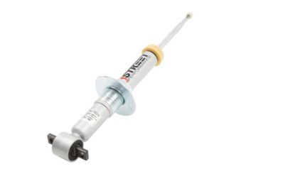 SP Lowering Strut