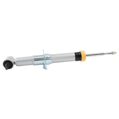 21-   Ford F150 SP Strut