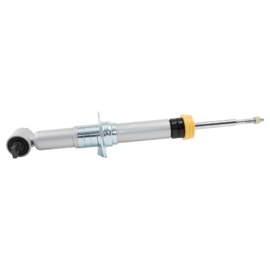 21-   Ford F150 SP Strut