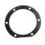 Snout Gasket