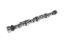 BBC Roller Camshaft CB 324IR-10