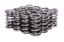 1.320 Dual Valve Springs GM LS Engines