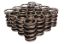 1.442 Dual Valve Springs .770 ID w/Damper