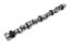 Pontiac V8 Xtreme Hyd. Roller Cam XR276HR-10