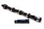 Hydraulic Camshaft - Buick 215-340 250HDP