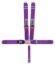 5-Pt Harness Small Latch Purple Bolt In Pull Down