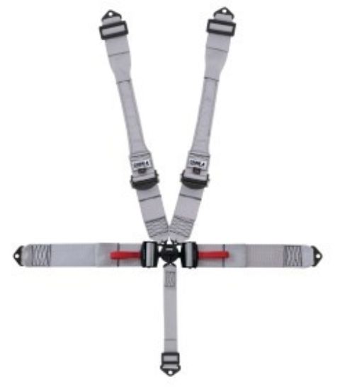 Pro Series Seat Belts 5 Way Cam Lock Dog Bone