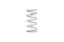 10in Coil Over Spring 3.0in ID Silver