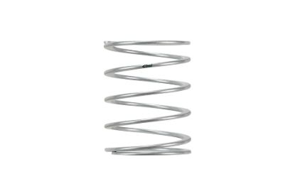 Spring Helper 3.0in ID 4.84in Tall Silver