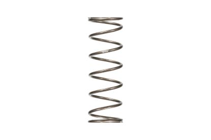 Spring Rear 20in x 5in x 100#