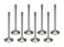 LS1 1.600 C/P Exhaust Valves 5/16 x 5.015 OAL