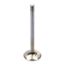 SBC C/P HS 1.600 Exhaust Valve 11/32