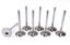 SBC C/P 2.125 Intake Valves