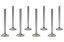 SBC C/P 1.600 Exhaust Valves 11/32 5.300 OAL