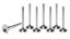 SBC C/P 1.600 Exhaust Valves