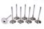 SBC C/P 1.940 Intake Valves