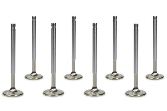 SBC C/P 1.600 Exhaust Valves 5/16  5.160 OAL