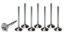 SBC C/6 1.600 Exhaust Valves