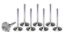 SBC C/6 2.140 Intake Valves