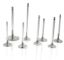SBC C/6 1.600 Exhaust Valves 5/16 5.060 OAL
