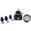 Fuel Press Reg Mini EFI Kit 25-90PSI 6an/6an