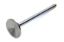 1.615in Exhaust Valve LS7 Hollow Stem