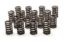 1.250 Valve Springs - SBC for 602 Crate Engine