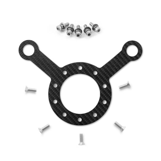 Carbon Fiber Plate w/2 Hole Switch