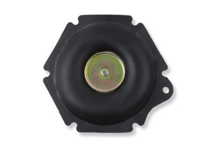 Secondary Diaphragm