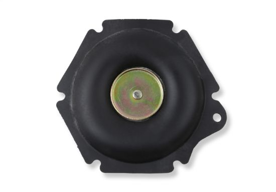 Secondary Diaphragm